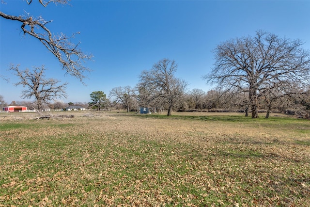 view of yard featuring a rural view