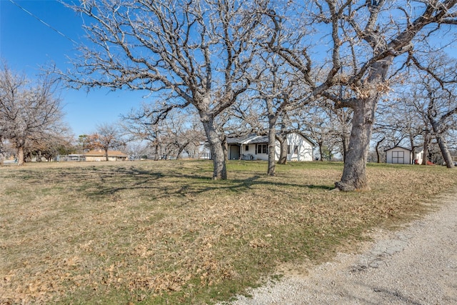 view of yard with a shed