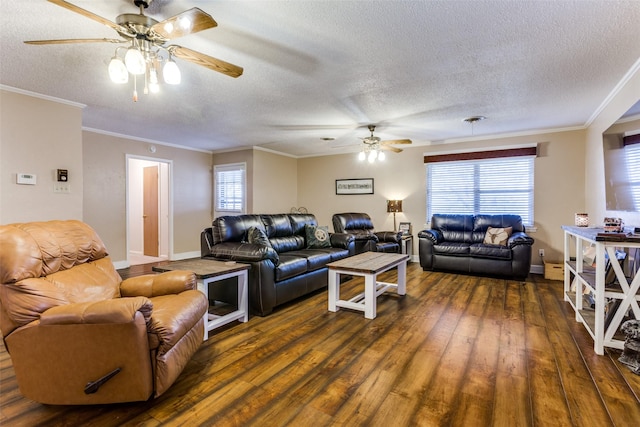 living room with plenty of natural light, ornamental molding, and dark hardwood / wood-style floors