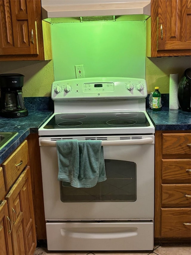 kitchen featuring electric stove and exhaust hood