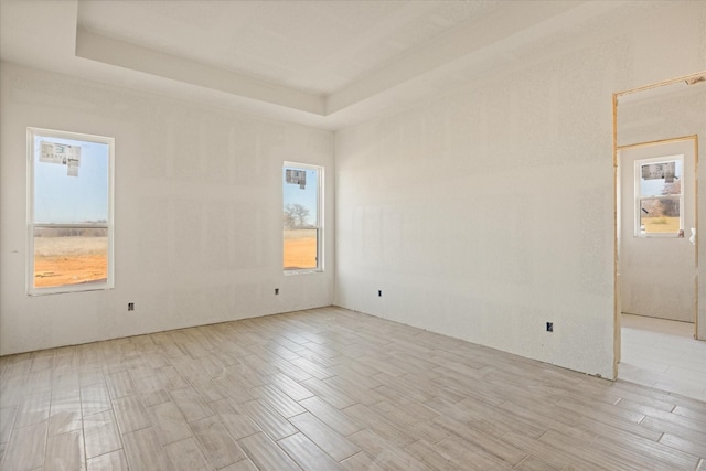 spare room featuring wood tiled floor and a tray ceiling