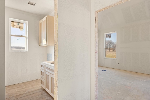 hall with a wealth of natural light and wood finish floors