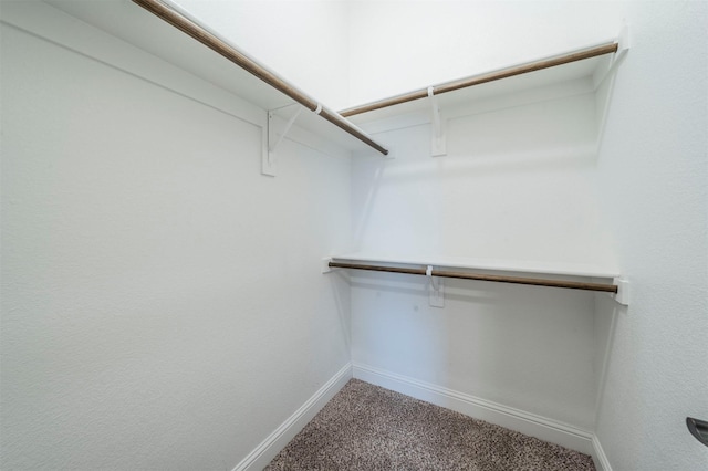 walk in closet with carpet flooring