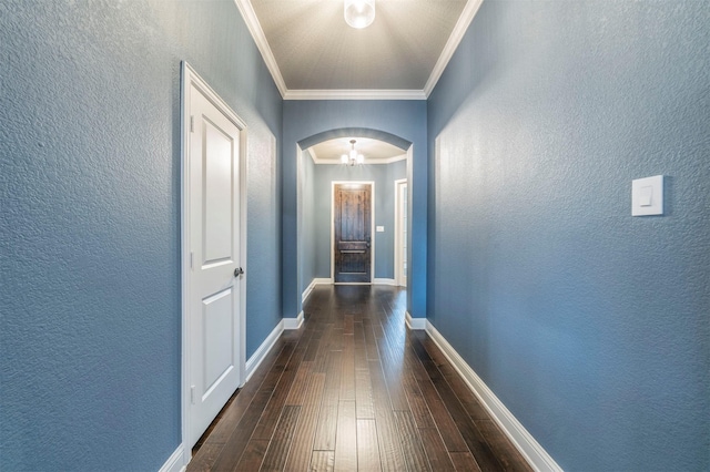 corridor with crown molding and dark hardwood / wood-style floors