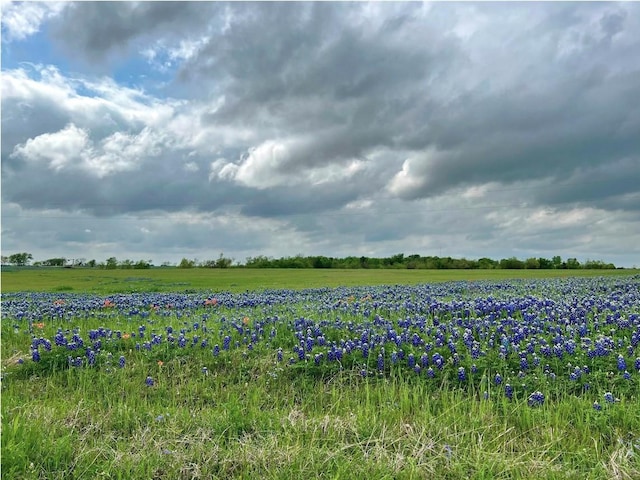 TBD3ACRES Alsdorf Rd, Ennis TX, 75119 land for sale