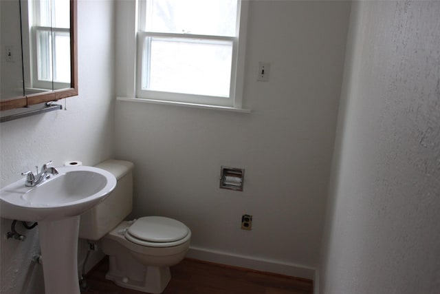 bathroom with sink, wood-type flooring, and toilet