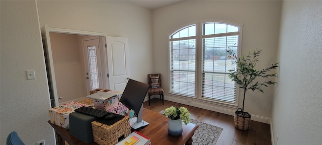 office space featuring hardwood / wood-style flooring