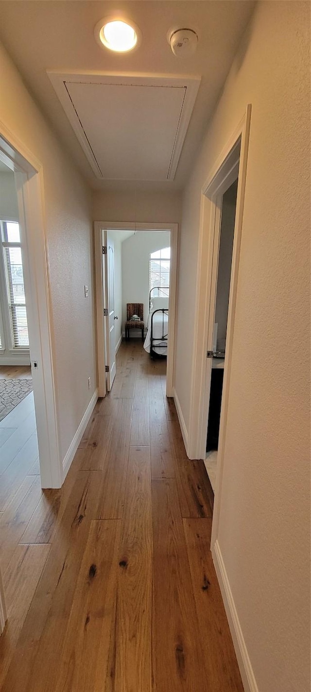 hall with hardwood / wood-style flooring