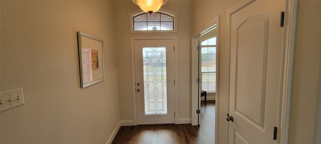 doorway to outside featuring dark wood-type flooring