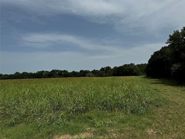 TBD County Road 1151, Cumby TX, 75433 land for sale