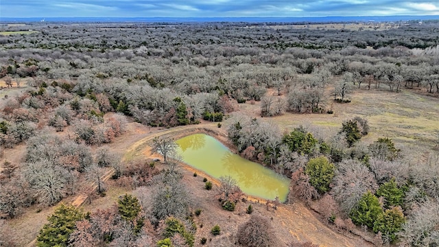 1083 Ivins Rd, Saint Jo TX, 76265 land for sale