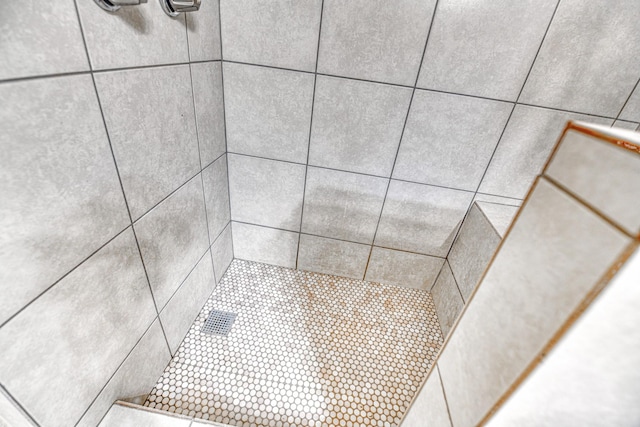 interior details featuring a tile shower