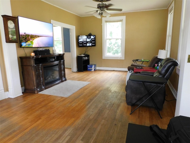 living room featuring crown molding, ceiling fan, light hardwood / wood-style flooring, and a wealth of natural light