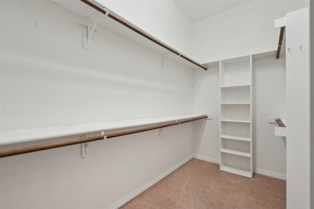 spacious closet with light carpet