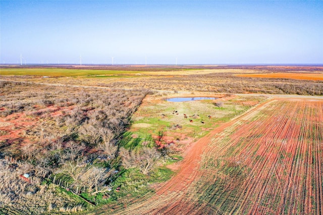 Listing photo 3 for TBD Fm 618, Haskell TX 79521