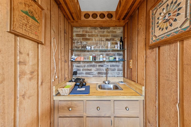 bar with sink and wooden walls