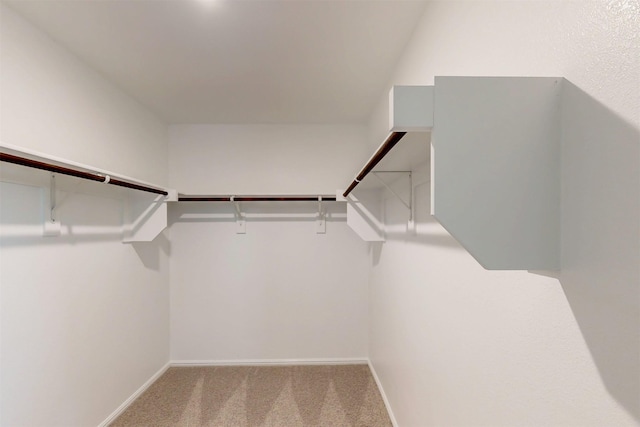 716 Tawny Turn, Lavon, TX 75166 - spacious closet with carpet flooring