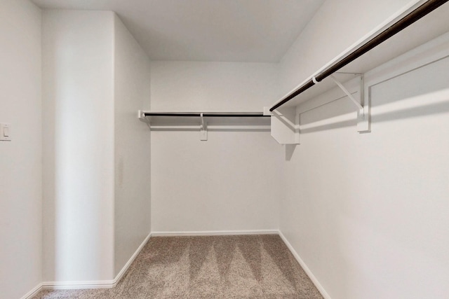 721 Merry Summit Rd, Lavon, TX 75166 - spacious closet with carpet flooring