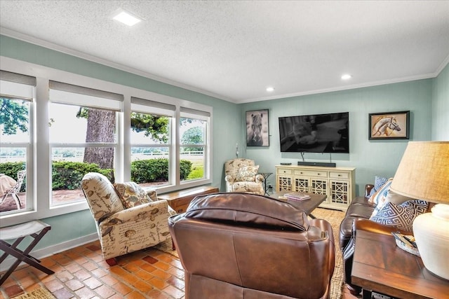 living room featuring crown molding and a textured ceiling