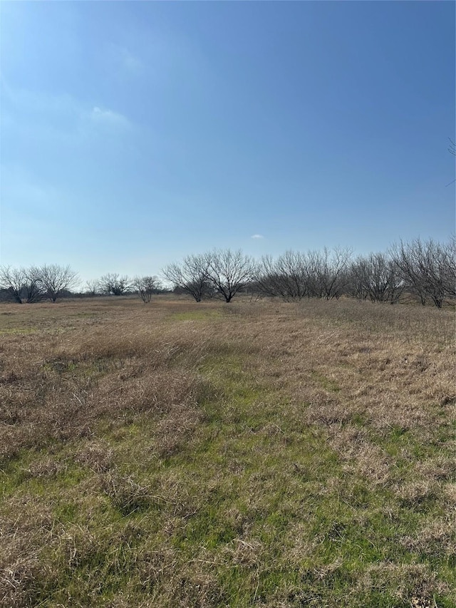 Listing photo 3 for TBD NW County Road 1360, Barry TX 75102