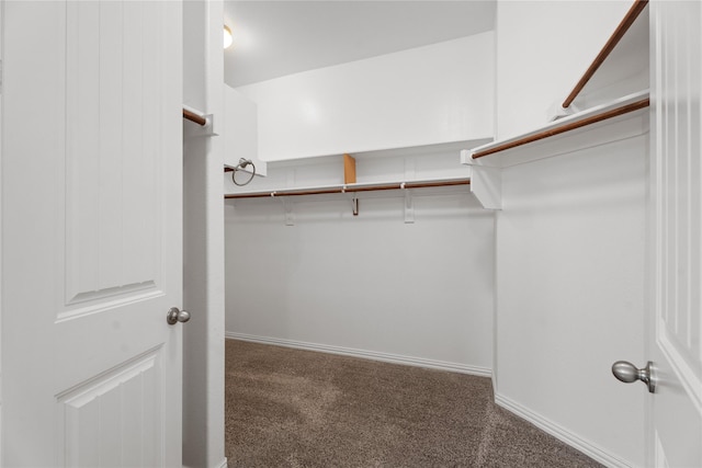 walk in closet with dark carpet