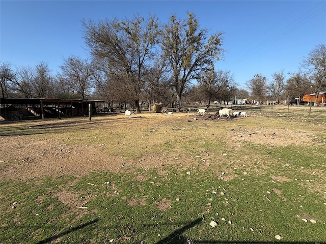 view of yard with a rural view