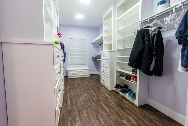 walk in closet with dark wood finished floors