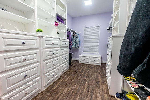 spacious closet with dark wood-type flooring