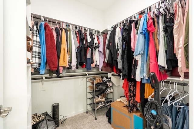 spacious closet featuring carpet floors