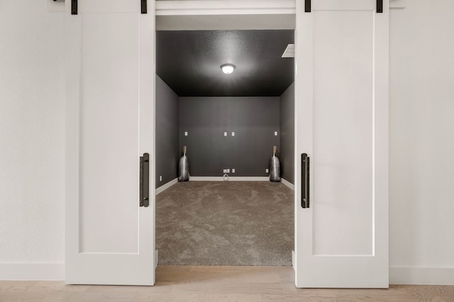 clothes washing area with a barn door and carpet floors