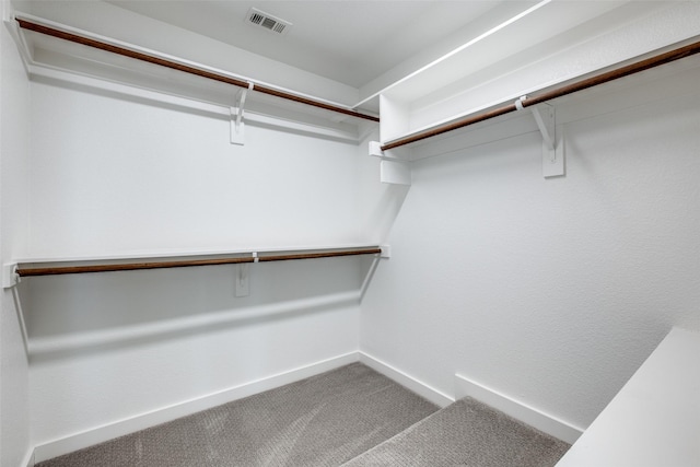 walk in closet featuring carpet floors