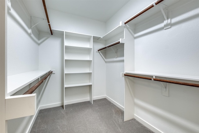 walk in closet featuring carpet