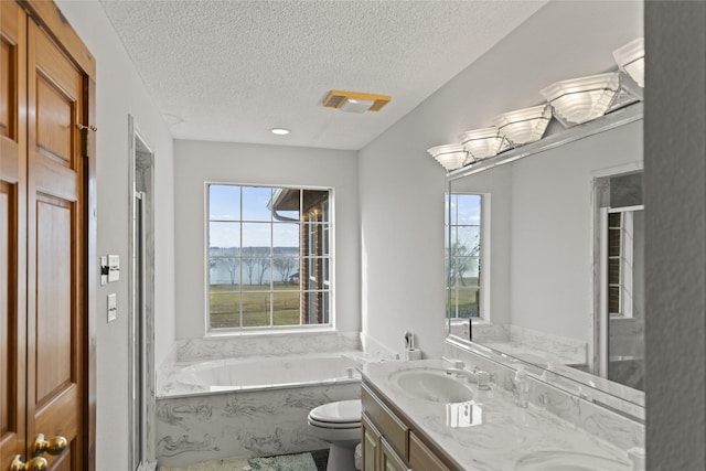 bathroom featuring toilet, vanity, a bath, and a textured ceiling