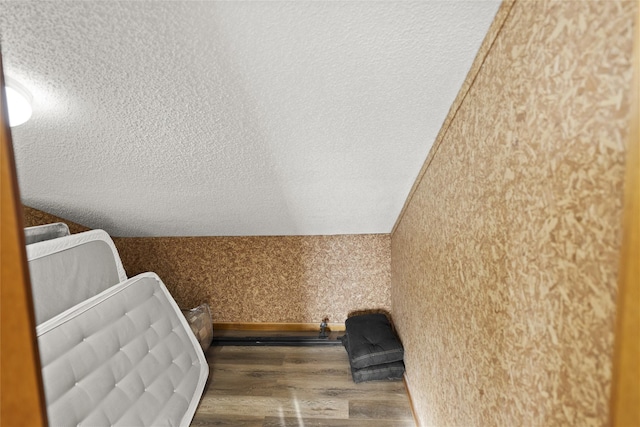 interior space featuring vaulted ceiling and dark hardwood / wood-style floors