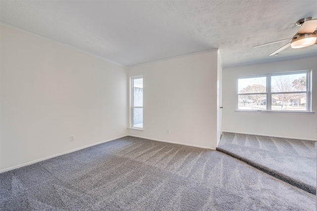 carpeted spare room featuring a textured ceiling, a wealth of natural light, and ceiling fan