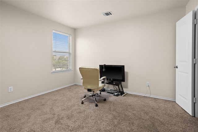 office space featuring carpet flooring