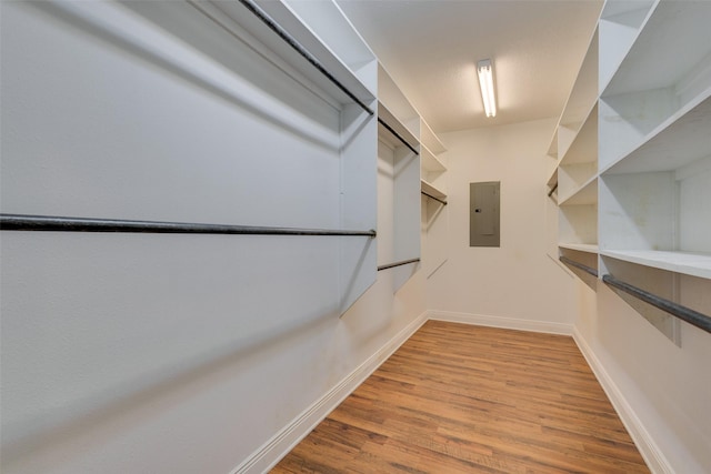 walk in closet featuring electric panel and light wood-type flooring