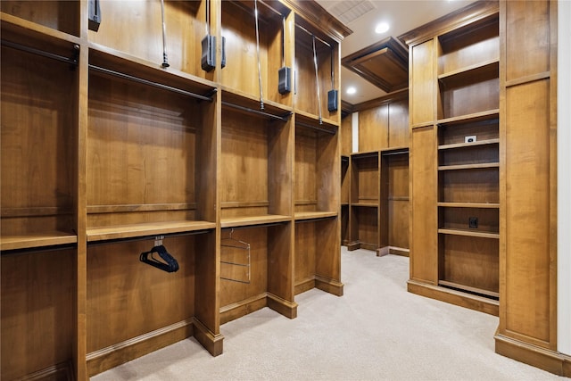 walk in closet with light colored carpet