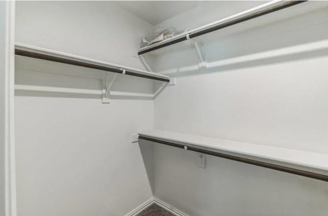 view of walk in closet