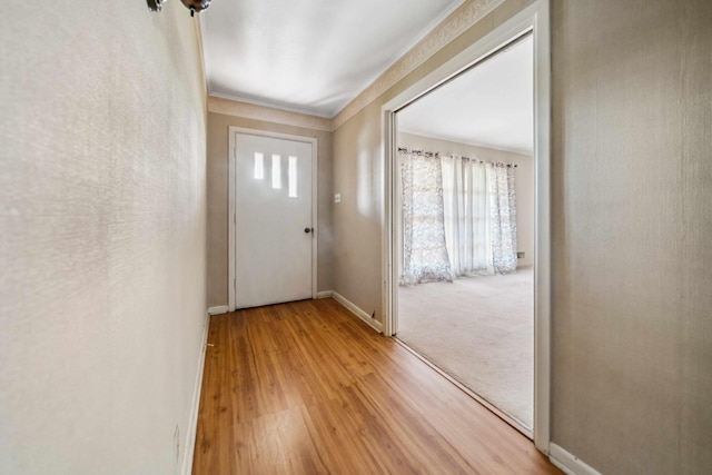 entryway featuring hardwood / wood-style flooring