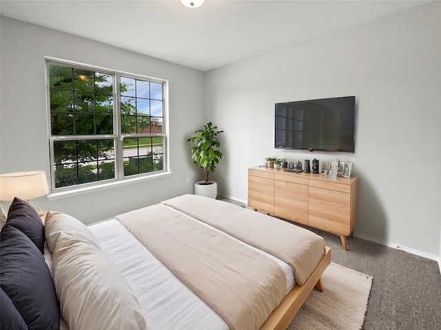 6416 Texas Cowboy Dr, Fort Worth, TX 76123 - bedroom with carpet and baseboards