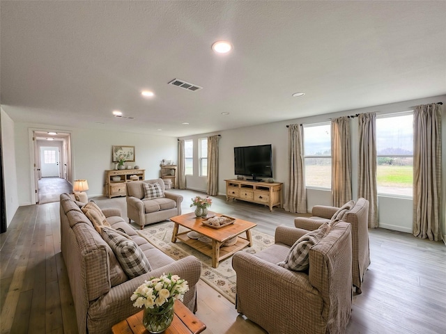 living room featuring light wood-type flooring and a wealth of natural light