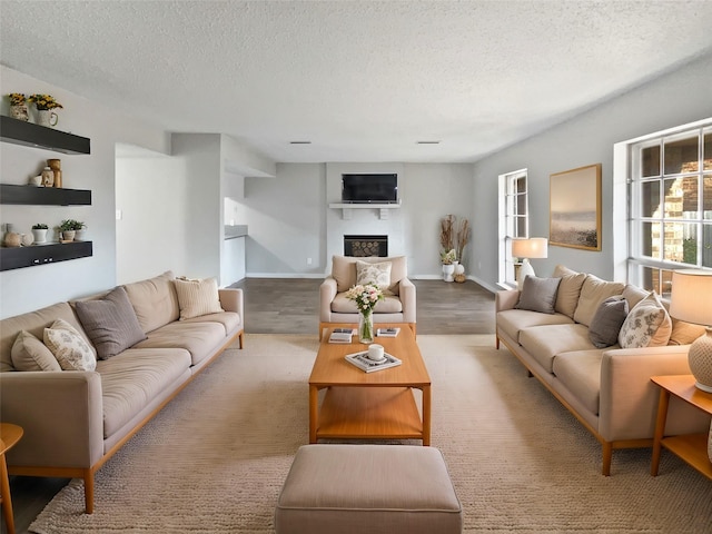 living room featuring a textured ceiling and light hardwood / wood-style floors