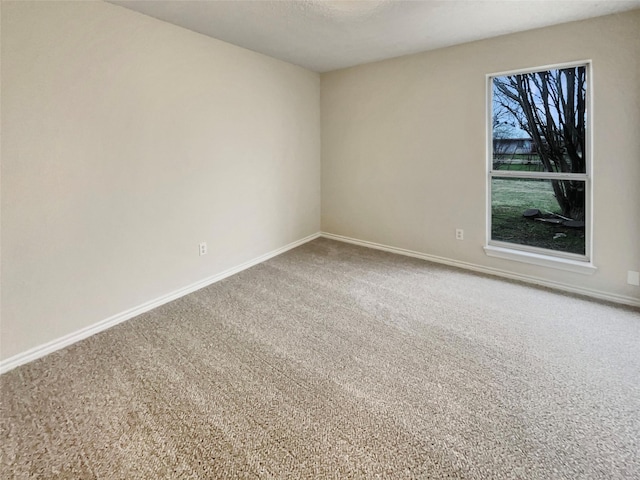 spare room with carpet floors