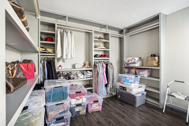 spacious closet featuring dark hardwood / wood-style floors