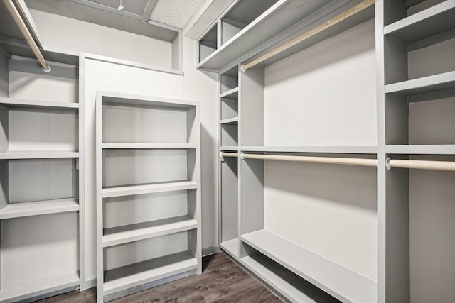 spacious closet featuring dark wood-type flooring