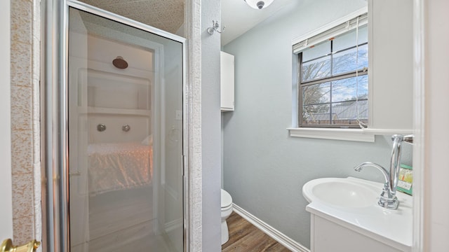 bathroom featuring a shower with door, vanity, hardwood / wood-style floors, and toilet