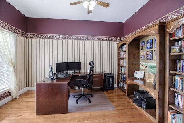 office area featuring ceiling fan and light hardwood / wood-style flooring