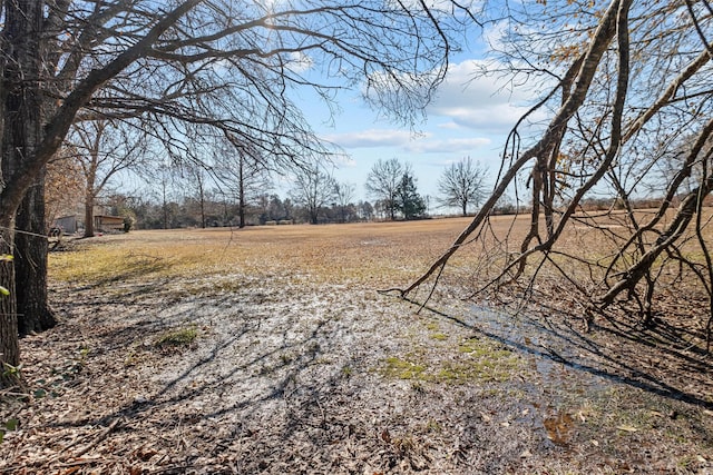 view of yard featuring a rural view