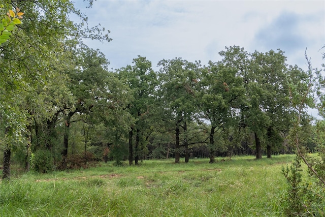 T4 Coleman Ranch Rd, Tolar TX, 76476 land for sale